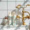 MIZANI SCALP CARE SHAMPOO