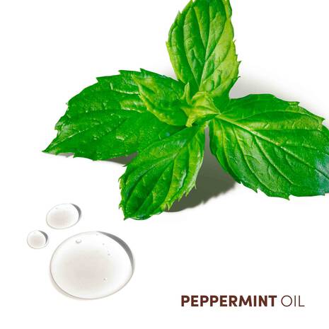 SCALP CARE CONDITIONER