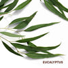 SCALP CARE CALMING LOTION